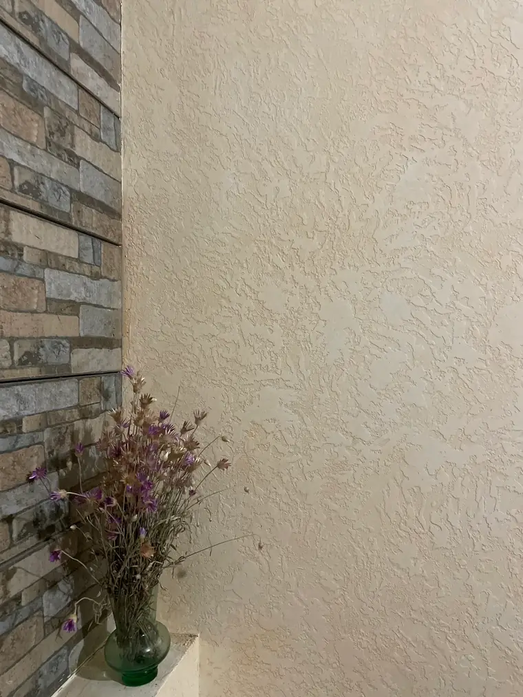Grotto plaster finish by Anna's Decorating